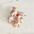 SUMMER BUNS - RAINBOW BUTTERFLY HAIR CLIP For Sale