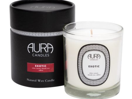 AURA CANDLES - EXOTIC EVERYDAY CANDLE Supply