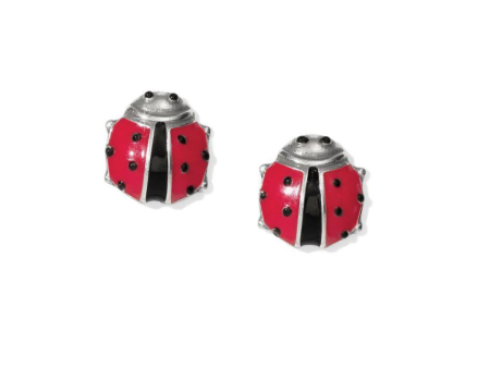 [Brighton] Spring Lady Bug Mini Post Sale