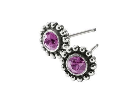 [Brighton] Twinkle Mini Post Earrings-Amethyst For Discount