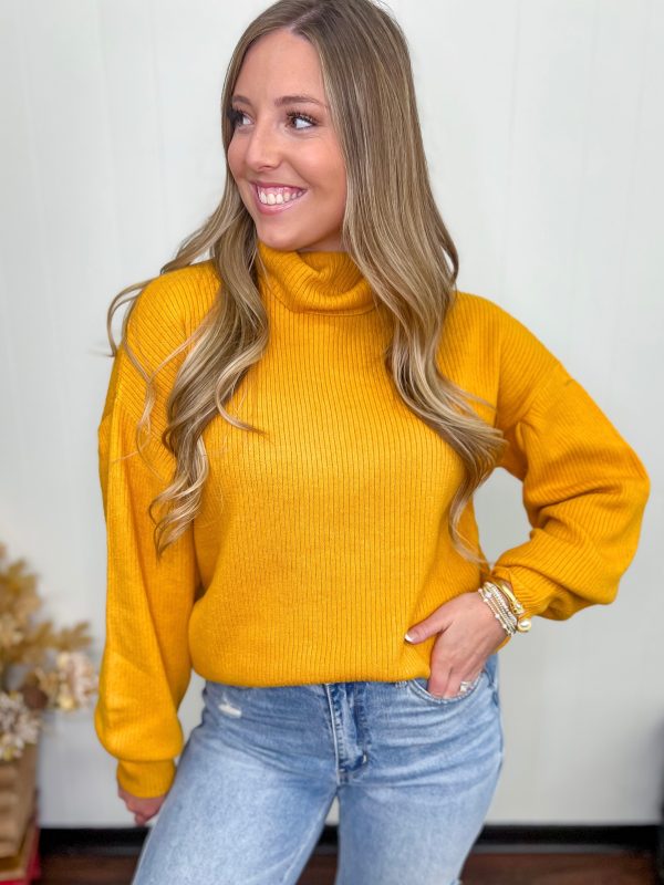 [Mud Pie] Roxie Turtleneck-Mustard Online now