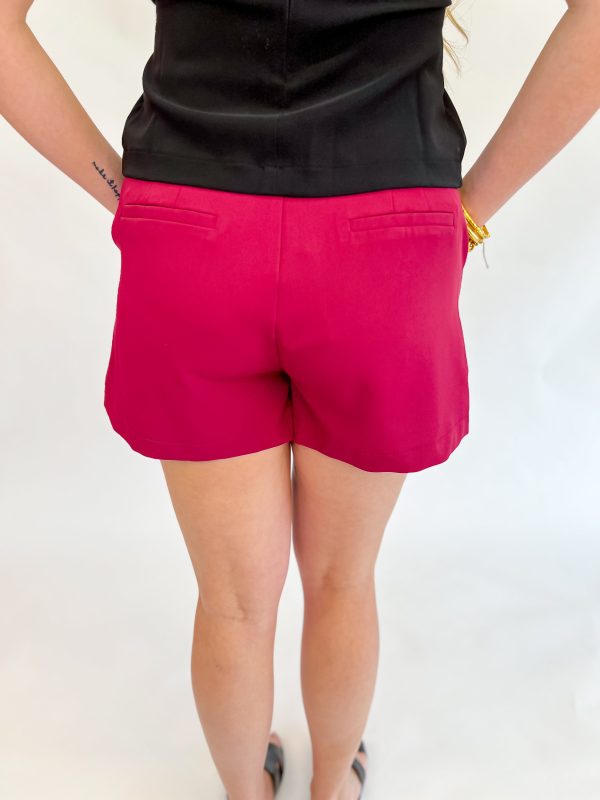 Amber Glow High Waisted Shorts Hot on Sale