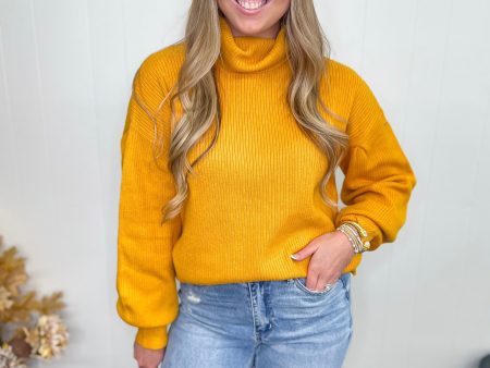 [Mud Pie] Roxie Turtleneck-Mustard Online now